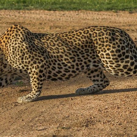 Monwana Villa Thornybush Game Reserve Exterior photo